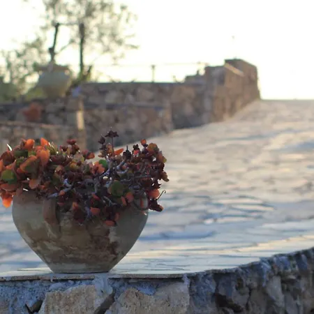 Villaggio San Demetrio Alloggio per agriturismo *