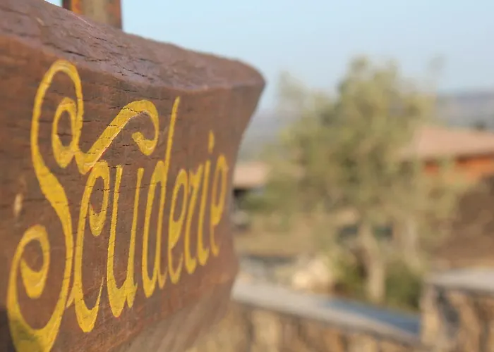 Villaggio San Demetrio Alloggio per agriturismo *